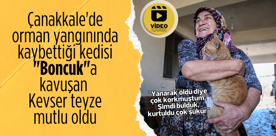 Çanakkale'de orman yangınında kaybettiği kedisi "Boncuk"a kavuşan Kevser teyze mutlu oldu
