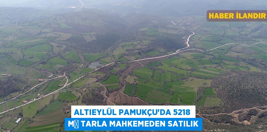 Altıeylül Pamukçu'da 5218 m² tarla mahkemeden satılık