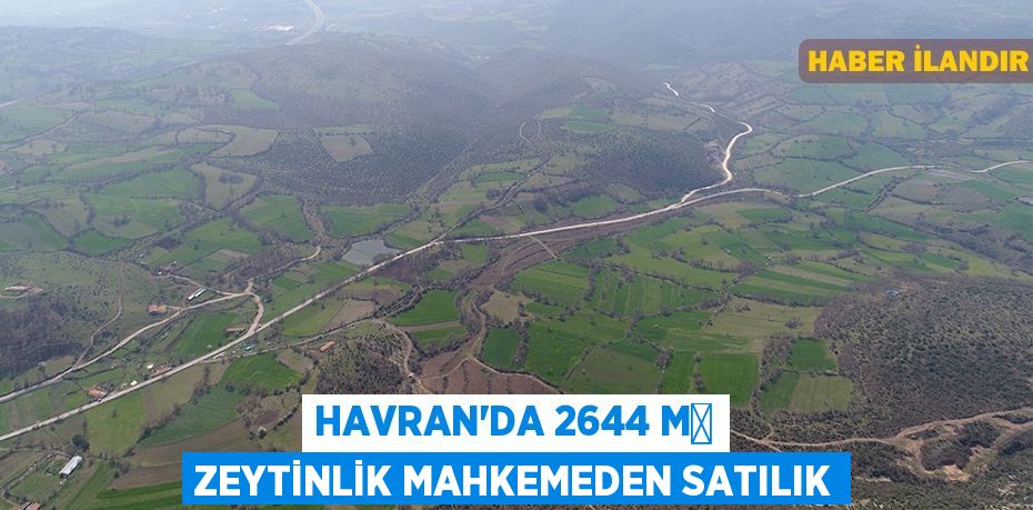 Havran'da 2644 m² zeytinlik mahkemeden satılık
