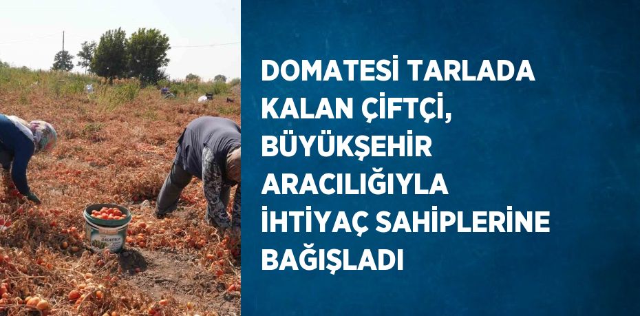 DOMATESİ TARLADA KALAN ÇİFTÇİ, BÜYÜKŞEHİR ARACILIĞIYLA İHTİYAÇ SAHİPLERİNE BAĞIŞLADI