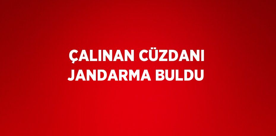 ÇALINAN CÜZDANI JANDARMA BULDU