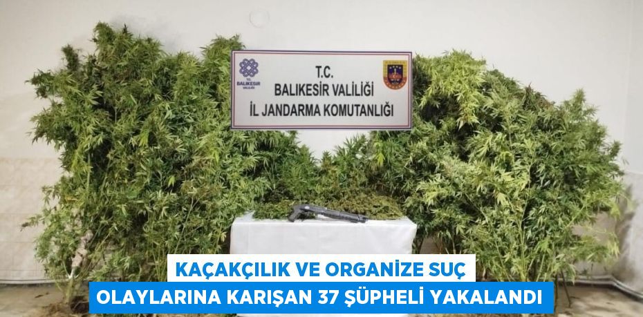 KAÇAKÇILIK VE ORGANİZE SUÇ OLAYLARINA KARIŞAN 37 ŞÜPHELİ YAKALANDI