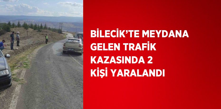 BİLECİK’TE MEYDANA GELEN TRAFİK KAZASINDA 2 KİŞİ YARALANDI