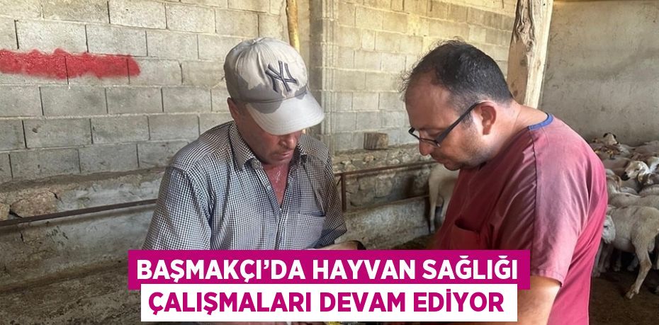 BAŞMAKÇI’DA HAYVAN SAĞLIĞI ÇALIŞMALARI DEVAM EDİYOR