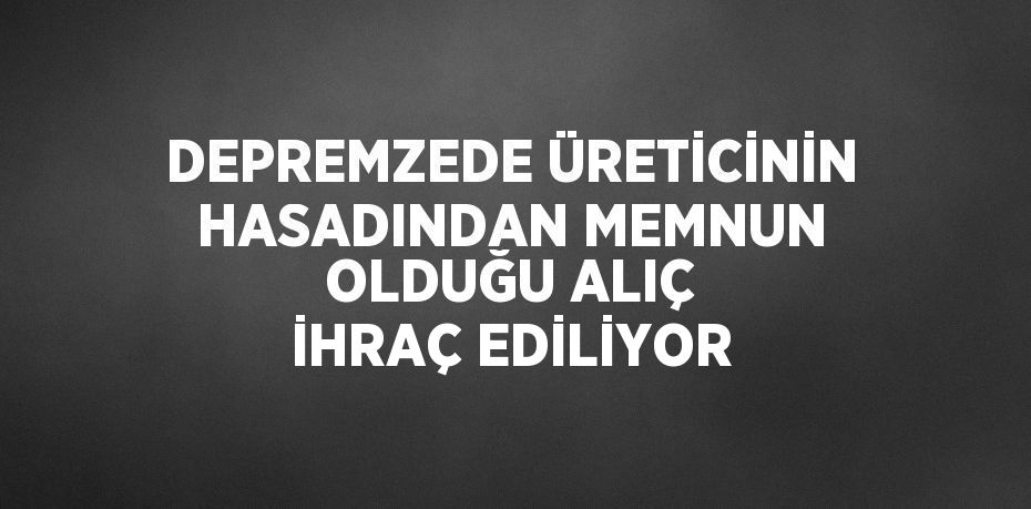 DEPREMZEDE ÜRETİCİNİN HASADINDAN MEMNUN OLDUĞU ALIÇ İHRAÇ EDİLİYOR