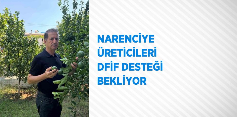 NARENCİYE ÜRETİCİLERİ DFİF DESTEĞİ BEKLİYOR