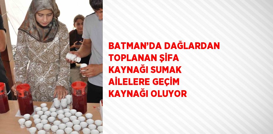 BATMAN’DA DAĞLARDAN TOPLANAN ŞİFA KAYNAĞI SUMAK AİLELERE GEÇİM KAYNAĞI OLUYOR