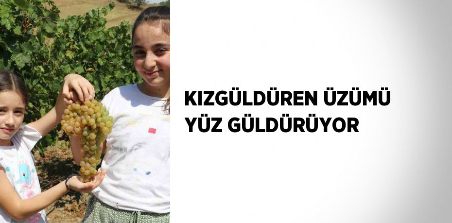 KIZGÜLDÜREN ÜZÜMÜ YÜZ GÜLDÜRÜYOR