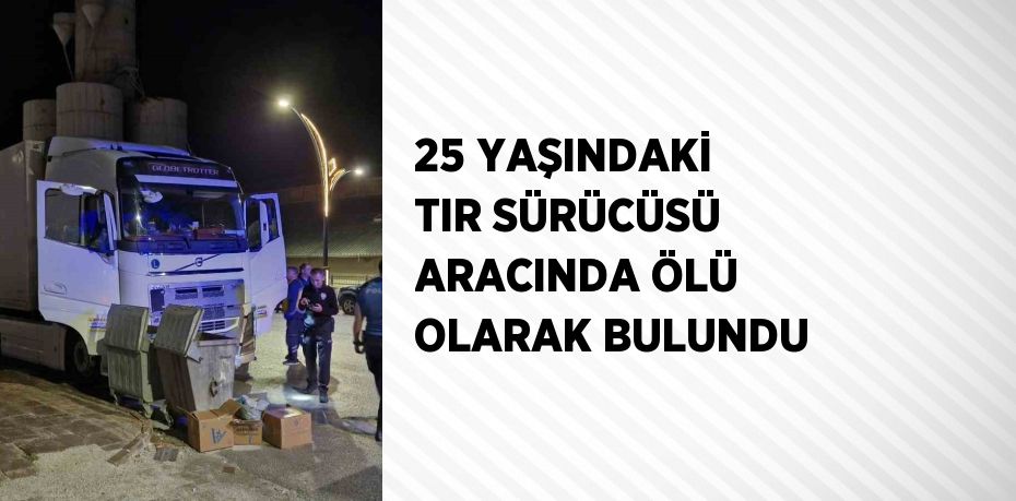 25 YAŞINDAKİ TIR SÜRÜCÜSÜ ARACINDA ÖLÜ OLARAK BULUNDU