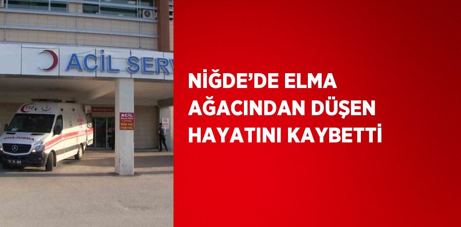 NİĞDE’DE ELMA AĞACINDAN DÜŞEN HAYATINI KAYBETTİ