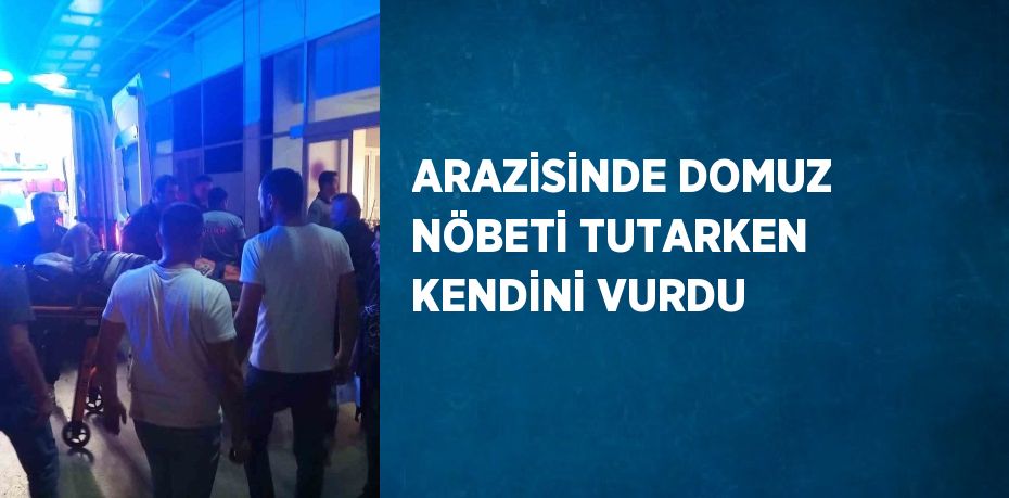 ARAZİSİNDE DOMUZ NÖBETİ TUTARKEN KENDİNİ VURDU