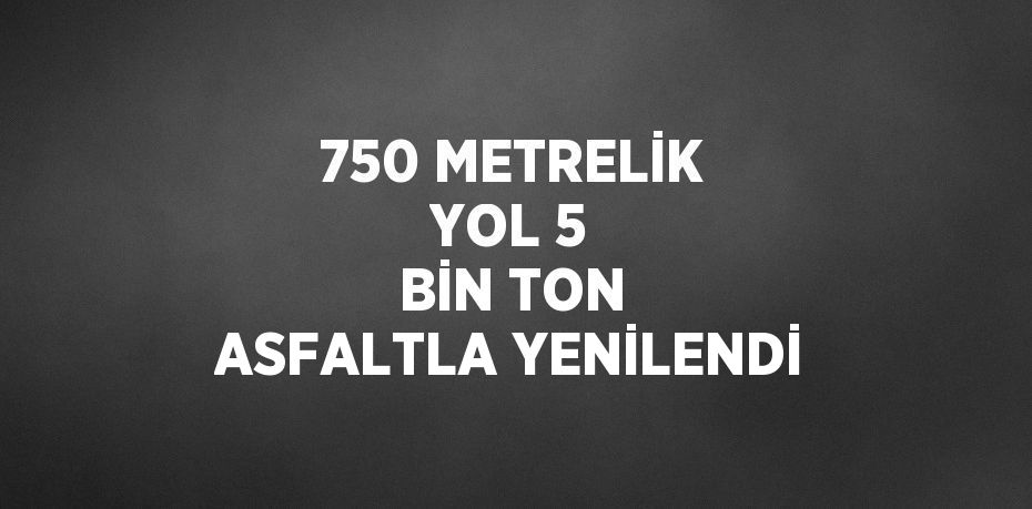 750 METRELİK YOL 5 BİN TON ASFALTLA YENİLENDİ