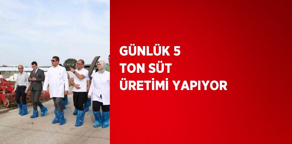 GÜNLÜK 5 TON SÜT ÜRETİMİ YAPIYOR