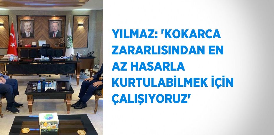 YILMAZ: 'KOKARCA ZARARLISINDAN EN AZ HASARLA KURTULABİLMEK İÇİN ÇALIŞIYORUZ'