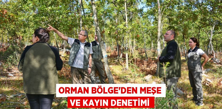 ORMAN BÖLGE’DEN MEŞE VE KAYIN DENETİMİ