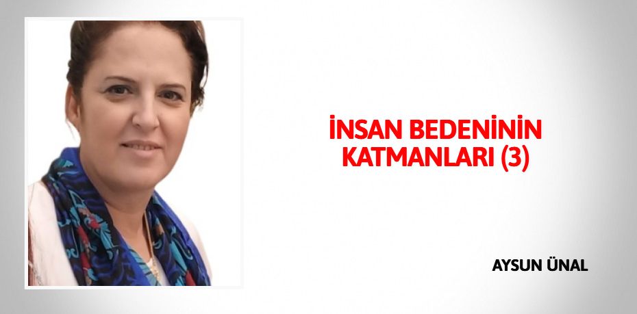 İNSAN BEDENİNİN KATMANLARI (3)