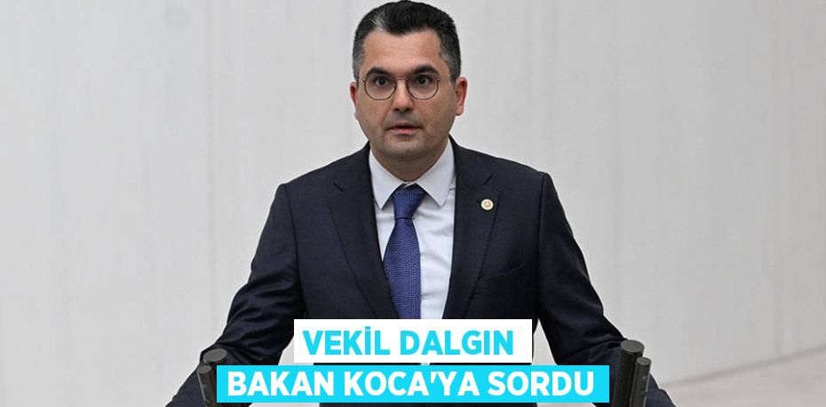 VEKİL DALGIN BAKAN KOCA’YA SORDU