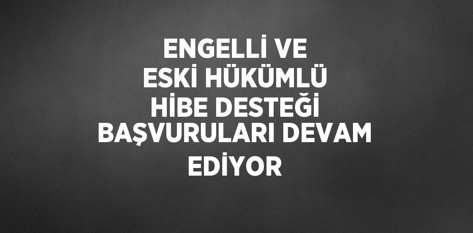 ENGELLİ VE ESKİ HÜKÜMLÜ HİBE DESTEĞİ BAŞVURULARI DEVAM EDİYOR