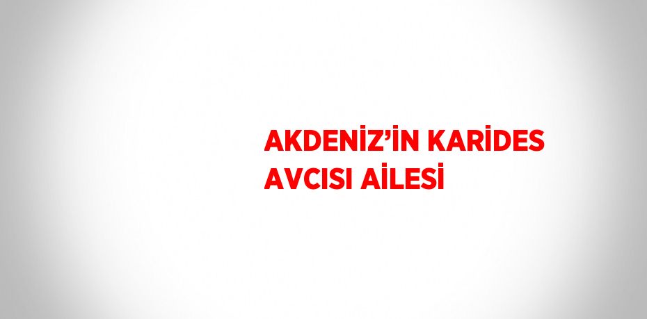 AKDENİZ’İN KARİDES AVCISI AİLESİ