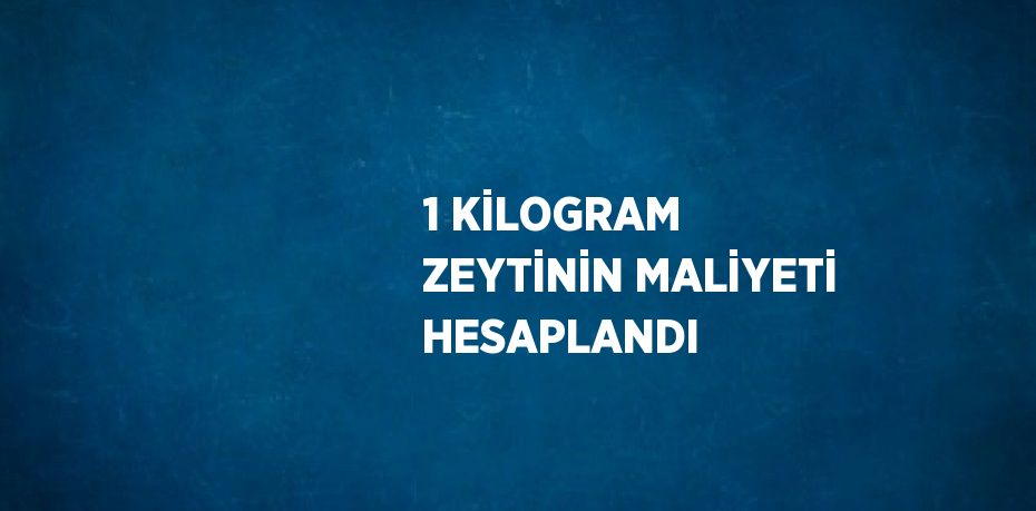 1 KİLOGRAM ZEYTİNİN MALİYETİ HESAPLANDI