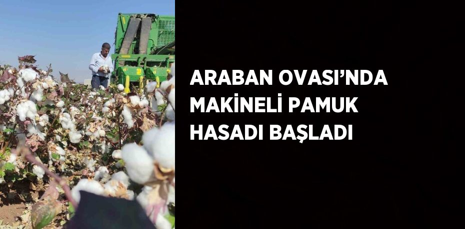 ARABAN OVASI’NDA MAKİNELİ PAMUK HASADI BAŞLADI