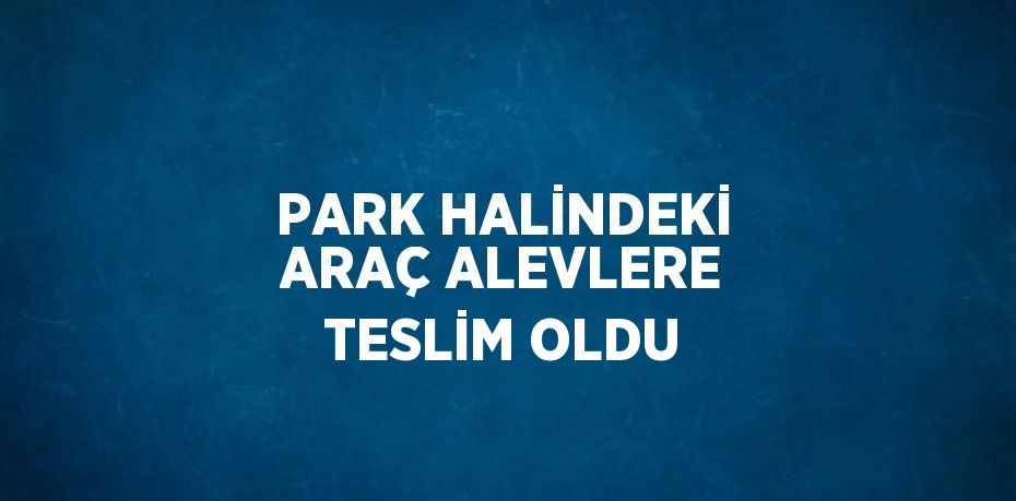 PARK HALİNDEKİ ARAÇ ALEVLERE TESLİM OLDU