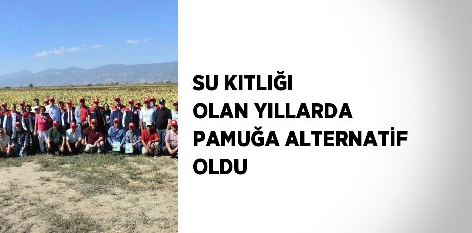 SU KITLIĞI OLAN YILLARDA PAMUĞA ALTERNATİF OLDU