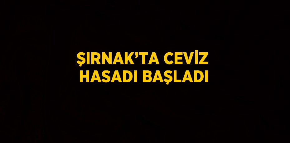 ŞIRNAK’TA CEVİZ HASADI BAŞLADI