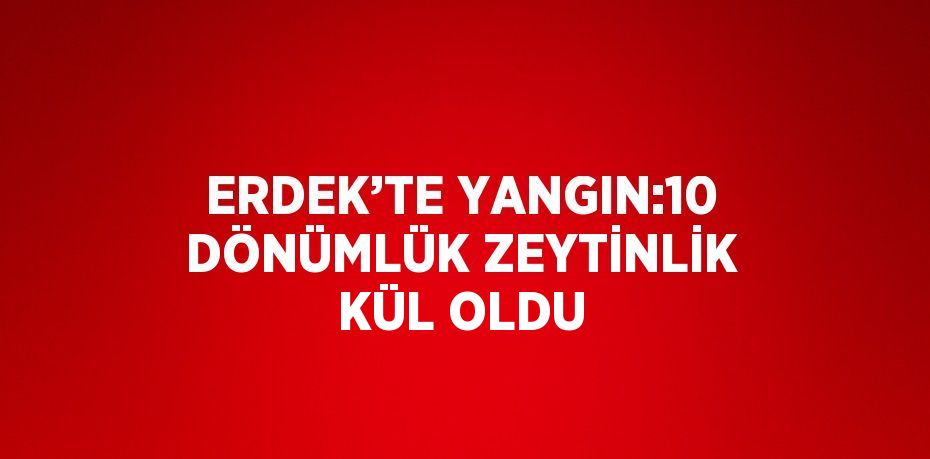 ERDEK’TE YANGIN:10 DÖNÜMLÜK ZEYTİNLİK KÜL OLDU