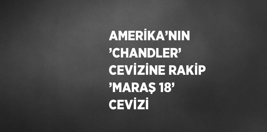 AMERİKA’NIN ’CHANDLER’ CEVİZİNE RAKİP ’MARAŞ 18’ CEVİZİ