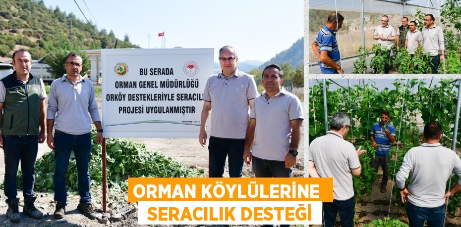 ORMAN KÖYLÜLERİNE   SERACILIK DESTEĞİ