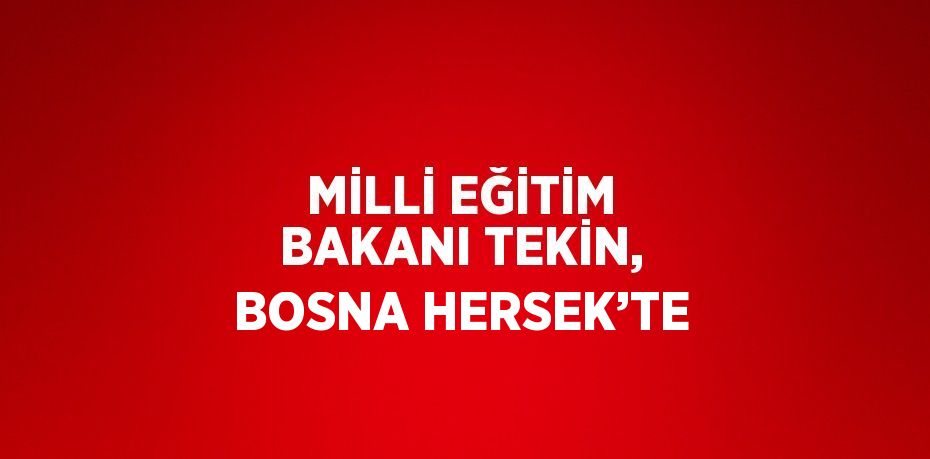 MİLLİ EĞİTİM BAKANI TEKİN, BOSNA HERSEK’TE