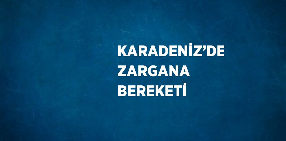 KARADENİZ’DE ZARGANA BEREKETİ