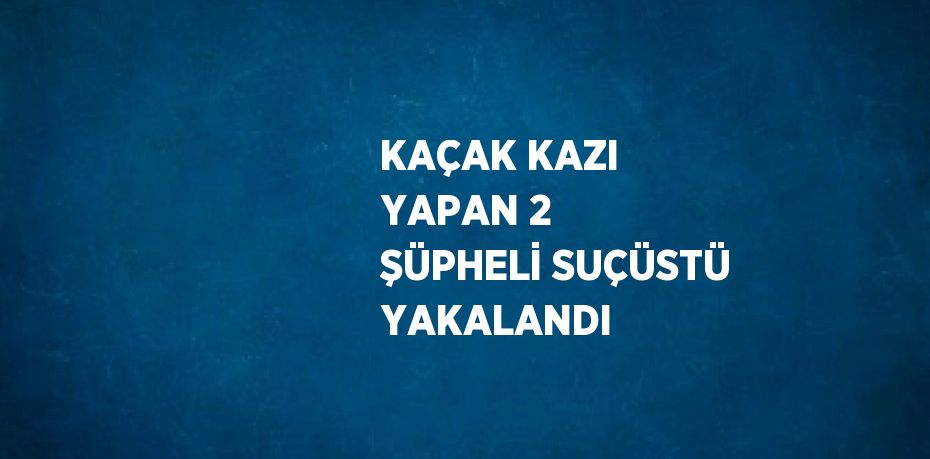 KAÇAK KAZI YAPAN 2 ŞÜPHELİ SUÇÜSTÜ YAKALANDI