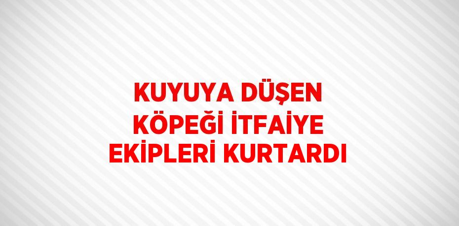 KUYUYA DÜŞEN KÖPEĞİ İTFAİYE EKİPLERİ KURTARDI