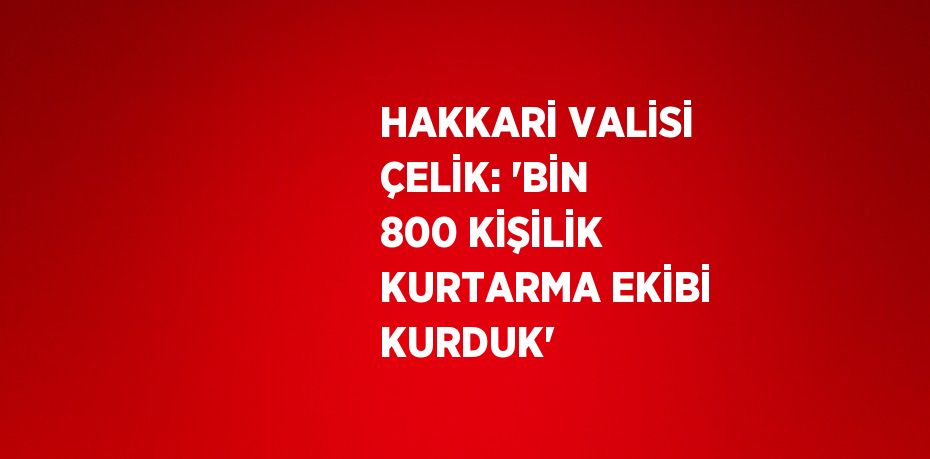 HAKKARİ VALİSİ ÇELİK: 'BİN 800 KİŞİLİK KURTARMA EKİBİ KURDUK'