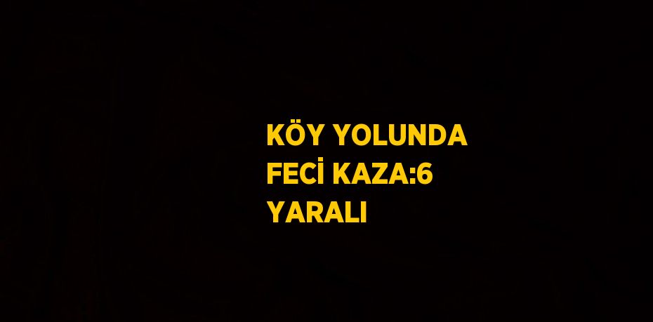 KÖY YOLUNDA FECİ KAZA:6 YARALI