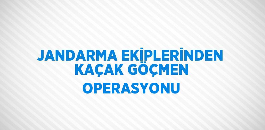 JANDARMA EKİPLERİNDEN KAÇAK GÖÇMEN OPERASYONU