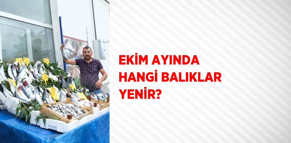 EKİM AYINDA HANGİ BALIKLAR YENİR?