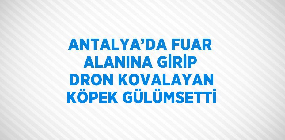 ANTALYA’DA FUAR ALANINA GİRİP DRON KOVALAYAN KÖPEK GÜLÜMSETTİ