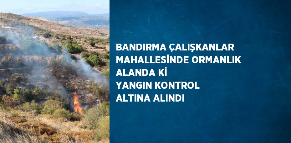 BANDIRMA ÇALIŞKANLAR MAHALLESİNDE ORMANLIK ALANDA Kİ YANGIN KONTROL ALTINA ALINDI