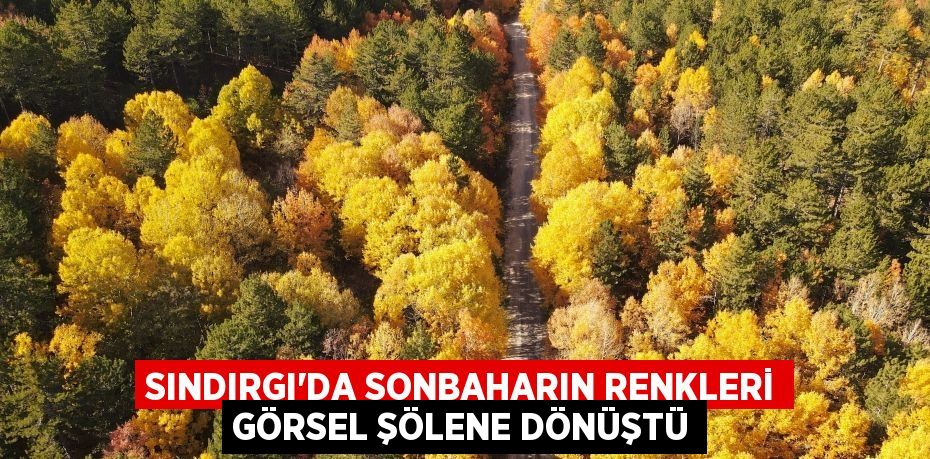 SINDIRGI'DA SONBAHARIN RENKLERİ GÖRSEL ŞÖLENE DÖNÜŞTÜ