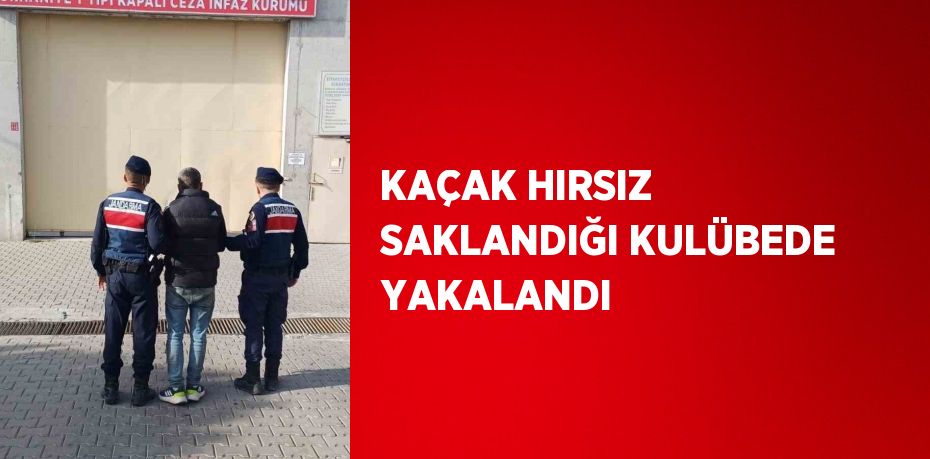 KAÇAK HIRSIZ SAKLANDIĞI KULÜBEDE YAKALANDI