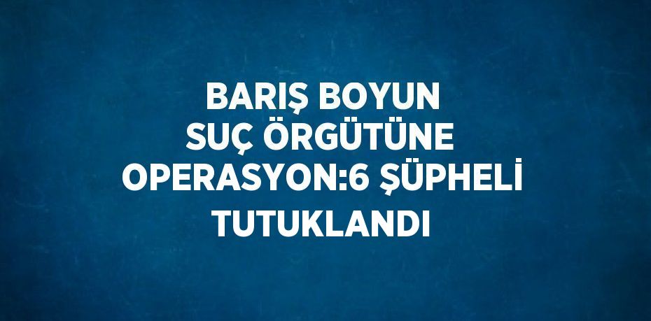 BARIŞ BOYUN SUÇ ÖRGÜTÜNE OPERASYON:6 ŞÜPHELİ TUTUKLANDI