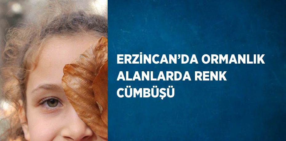 ERZİNCAN’DA ORMANLIK ALANLARDA RENK CÜMBÜŞÜ