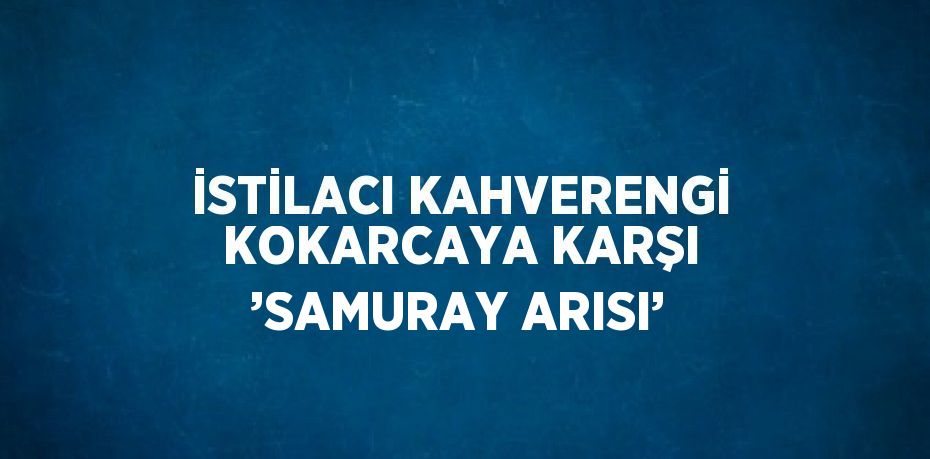 İSTİLACI KAHVERENGİ KOKARCAYA KARŞI ’SAMURAY ARISI’