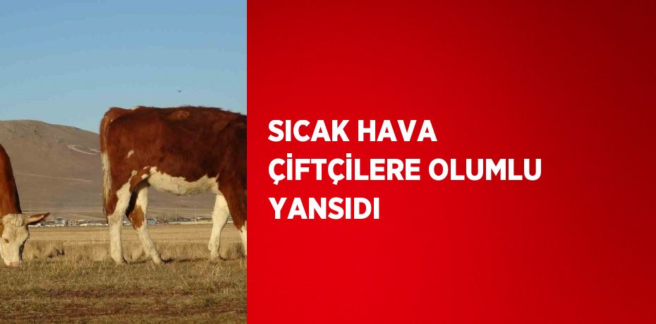 SICAK HAVA ÇİFTÇİLERE OLUMLU YANSIDI