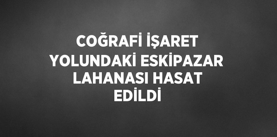 COĞRAFİ İŞARET YOLUNDAKİ ESKİPAZAR LAHANASI HASAT EDİLDİ