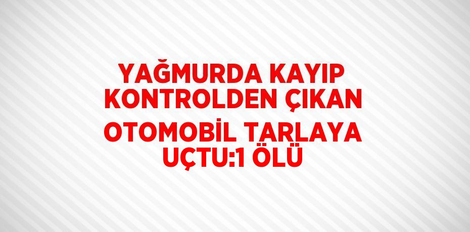 YAĞMURDA KAYIP KONTROLDEN ÇIKAN OTOMOBİL TARLAYA UÇTU:1 ÖLÜ