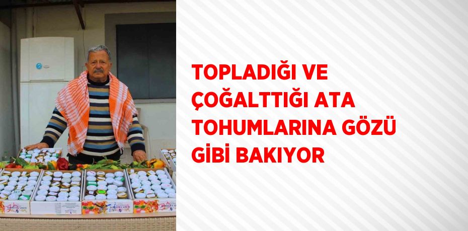 TOPLADIĞI VE ÇOĞALTTIĞI ATA TOHUMLARINA GÖZÜ GİBİ BAKIYOR